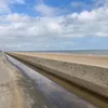 hellebf