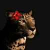nivin348