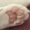 7qqqqqel