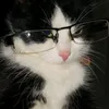 matxzz_7