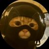 .tumbukan.kucing