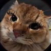 milfurs