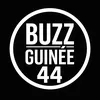 buzzguinee44