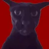 usererp07lrkgc
