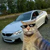 edits_cars2024
