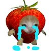 vv_piww