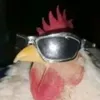 gurlwtf12367