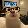 aaasgdfustad