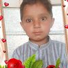 ali.hassan81392