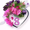 umu.maxamed611