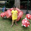 abeng_ppp