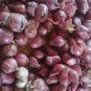 munthe.bawang