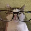_qtu4n