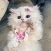 chompu_pink8