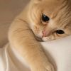 aisha_5795
