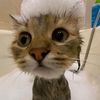 libaaxad.madow5