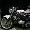 vixion_white38