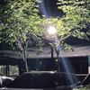 mju_0726