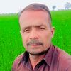 user7229348185202