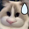 _4_3__0
