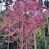 user7605199127103