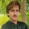 zahid.alli17