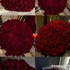ruya36797