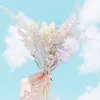 quocan170716