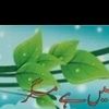 user1840947574133