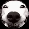 ssallam_m