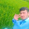 qadir.zamani