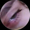 f247892