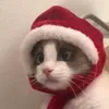 tony.miau.motivado