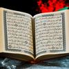 mohamadbelharbi1