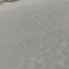 scerrss
