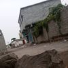 nasserjamal687