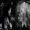 noctara.sh