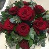 flora_flor10