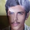 ناريمان نويره