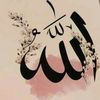 muhammad.wali4895