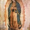 josefina.hernandez3