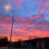yolo_0918