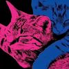 stellalovescats13