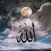 user6203742017947