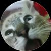 don_gatoxo