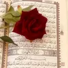 shamsaldhor.313