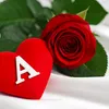 ashmrrrfy6x