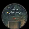 user707720037