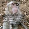 ceus_acessorios