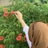 siti.aisyah4723